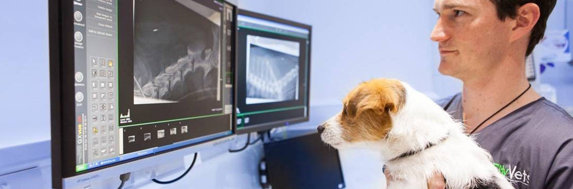 Our Prices | Affordable Vet Costs in Exeter | City Vets