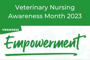 Veterinary Nursing Awareness Month at City Vets