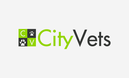 Pet Insurance Explained: What It Is, What It Is Not, and Why It Matters