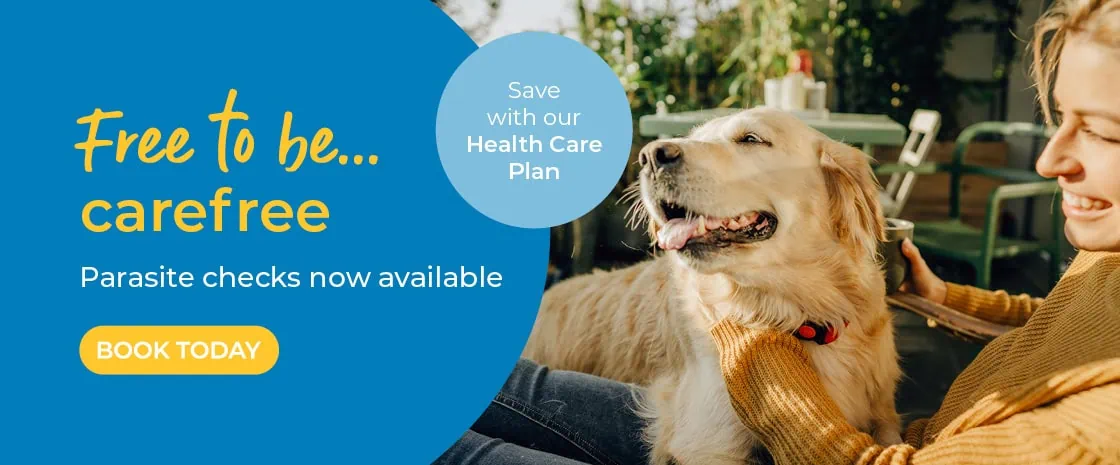 City Vets in Exeter, Devon