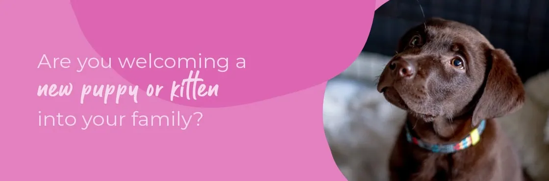 Start of Life for Your Puppy or Kitten