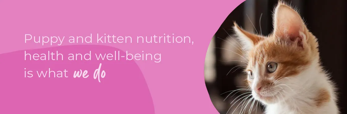 Start of Life for Your Puppy or Kitten