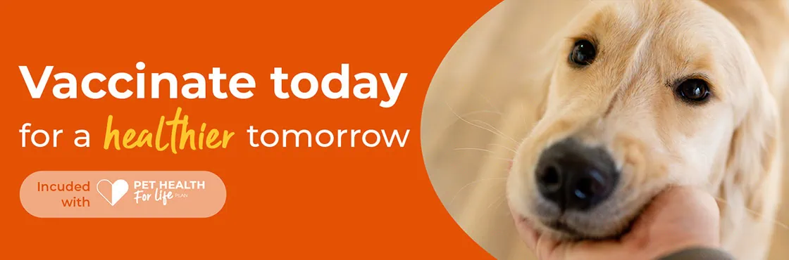 Infectious Canine Hepatitis
